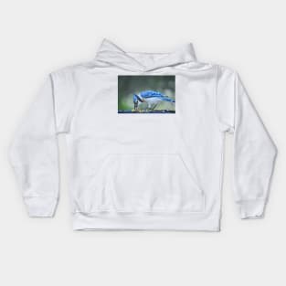 Bluejay Kids Hoodie